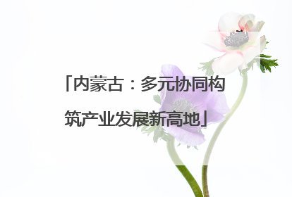 内蒙古：多元协同构筑产业发展新高地